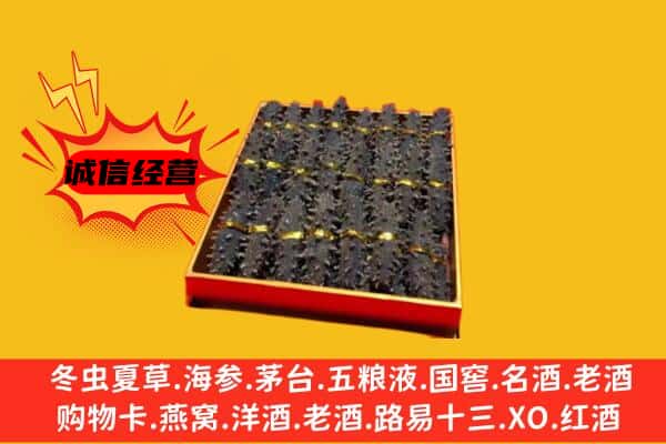 鄱阳县回收海参